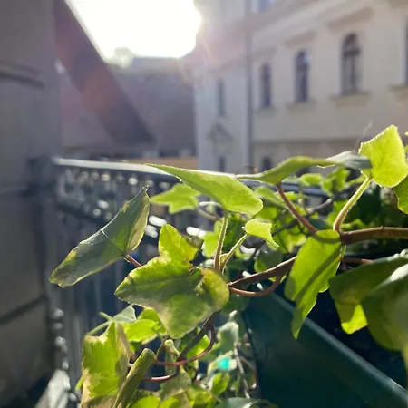 Sunny Near The Castle * Budapest