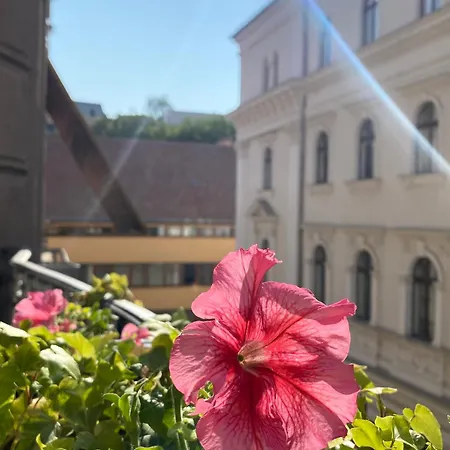 Sunny Near The Castle Apartment
