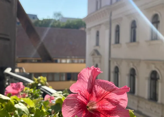 Sunny Near The Castle Apartmán